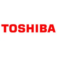 Ремонт ноутбука Toshiba в городе Бор
