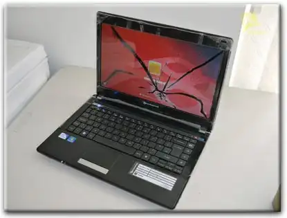 Замена матрицы Packard Bell в городе Бор